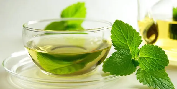 فرآیند تولید عرق نعنا به چه صورت است؟
