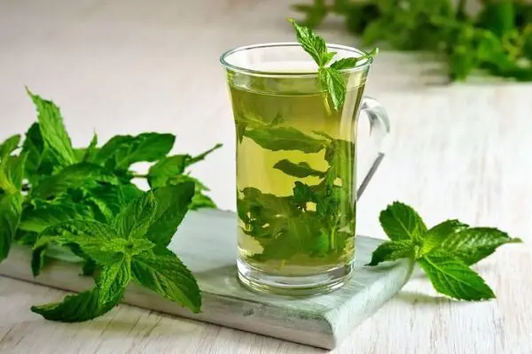 آیا میزان مصرف مشخصی برای استفاده از عرق نعنا وجود دارد؟